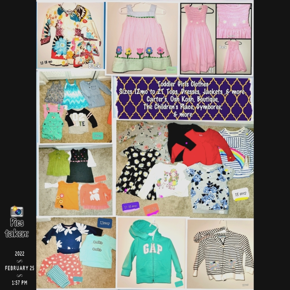 Baby & Toddler Girls Clothing Lots & Bundles 6M0-2T
